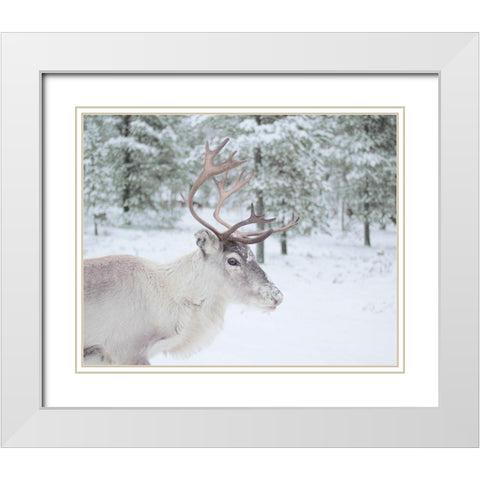 Reindeer in the Woods White Modern Wood Framed Art Print with Double Matting by Straatsma, Leah