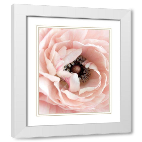 Pretty in Pink Floral White Modern Wood Framed Art Print with Double Matting by Straatsma, Leah