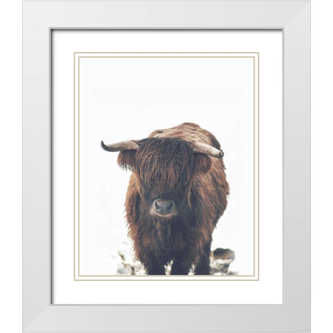 Winter Highland Cow White Modern Wood Framed Art Print with Double Matting by Straatsma, Leah