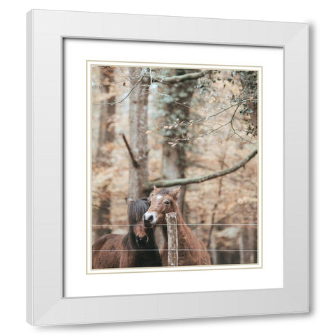 Best Friend Brown Horses White Modern Wood Framed Art Print with Double Matting by Straatsma, Leah