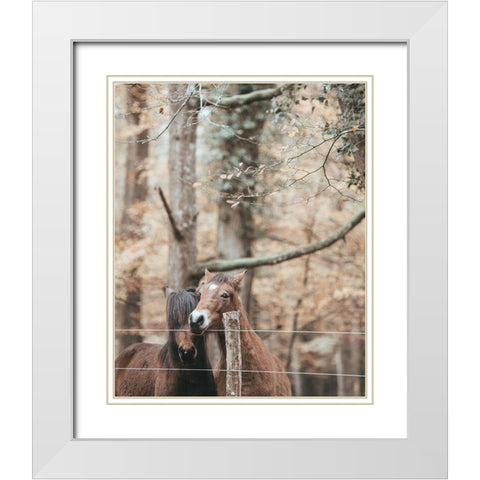 Best Friend Brown Horses White Modern Wood Framed Art Print with Double Matting by Straatsma, Leah
