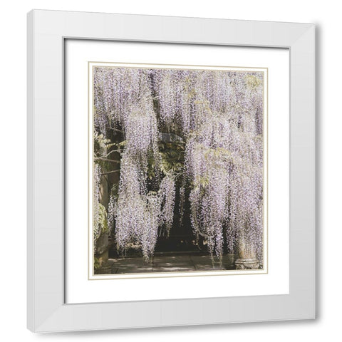 Beautiful Wisteria White Modern Wood Framed Art Print with Double Matting by Straatsma, Leah