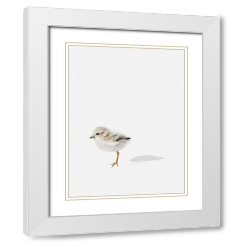 Baby Shorebird White Modern Wood Framed Art Print with Double Matting by Straatsma, Leah
