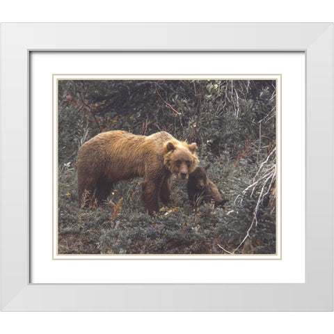 Momma Bear White Modern Wood Framed Art Print with Double Matting by Straatsma, Leah