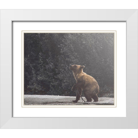 Playful Cub White Modern Wood Framed Art Print with Double Matting by Straatsma, Leah