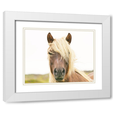 Pretty Horse White Modern Wood Framed Art Print with Double Matting by Straatsma, Leah