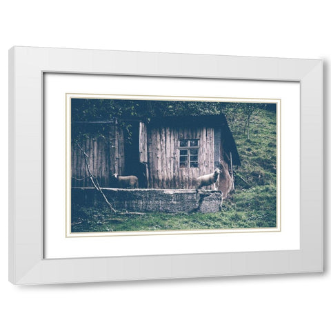 Sheepish White Modern Wood Framed Art Print with Double Matting by Straatsma, Leah