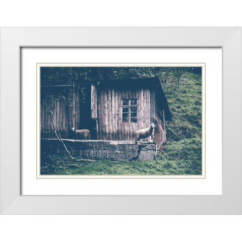 Sheepish White Modern Wood Framed Art Print with Double Matting by Straatsma, Leah