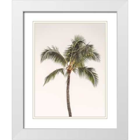 Rosy Palm Tree White Modern Wood Framed Art Print with Double Matting by Straatsma, Leah
