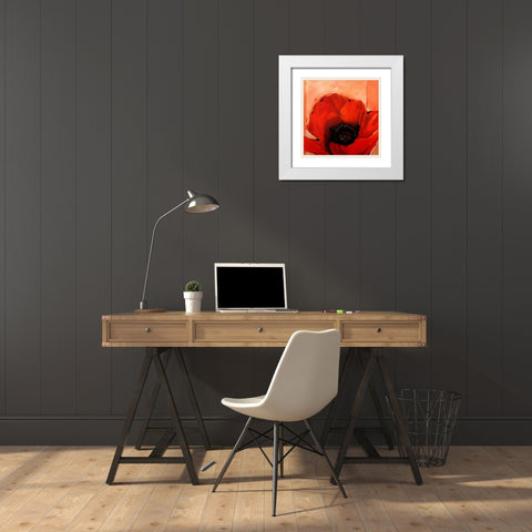 Crimson Poppy 2 White Modern Wood Framed Art Print with Double Matting by May