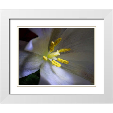 Tulpe Stempel Blau White Modern Wood Framed Art Print with Double Matting by May