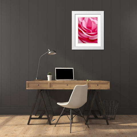 Rose Nahbereich White Modern Wood Framed Art Print with Double Matting by May