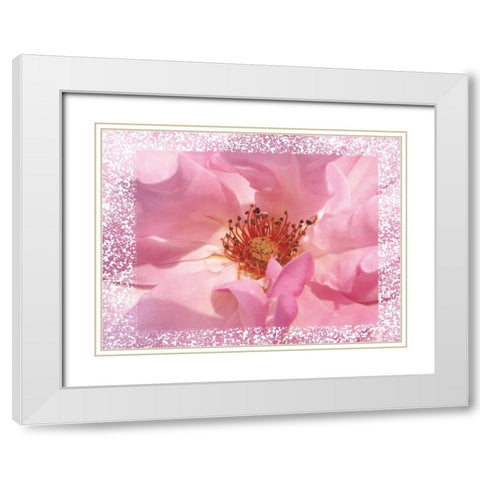 Rosenkern Rahmen White Modern Wood Framed Art Print with Double Matting by May