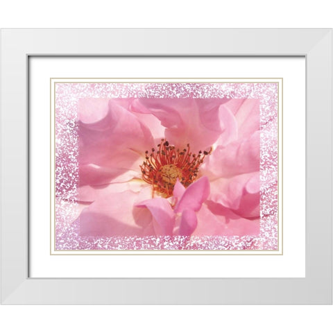 Rosenkern Rahmen White Modern Wood Framed Art Print with Double Matting by May