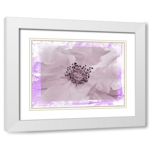 Rosenkern Rahmen 2 White Modern Wood Framed Art Print with Double Matting by May