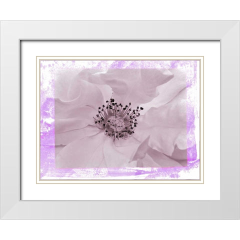 Rosenkern Rahmen 2 White Modern Wood Framed Art Print with Double Matting by May