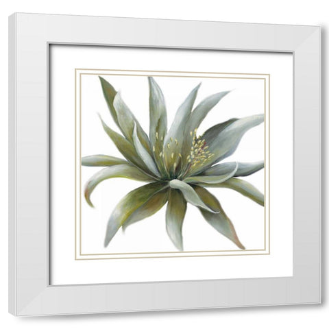 Wonderous Rays Withaar White Modern Wood Framed Art Print with Double Matting by May