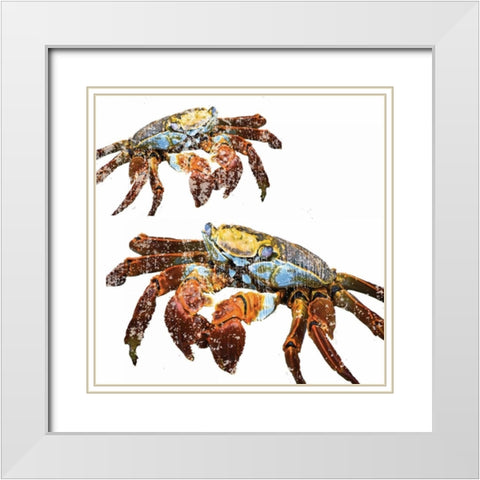 Winter Crabs White Modern Wood Framed Art Print with Double Matting by Hogan, Melody