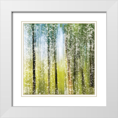 Distressed Forest White Modern Wood Framed Art Print with Double Matting by Hogan, Melody