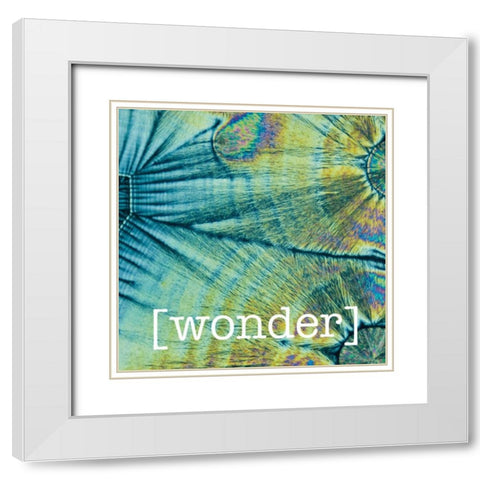 Wondering Coconuts White Modern Wood Framed Art Print with Double Matting by Hogan, Melody