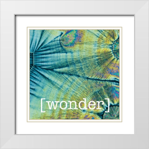Wondering Coconuts White Modern Wood Framed Art Print with Double Matting by Hogan, Melody
