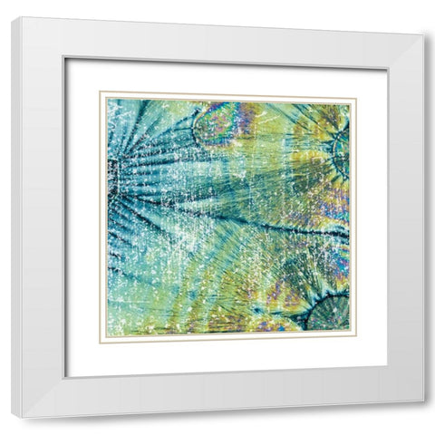 Distressed Coconuts White Modern Wood Framed Art Print with Double Matting by Hogan, Melody