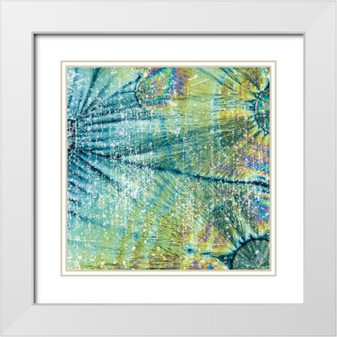 Distressed Coconuts White Modern Wood Framed Art Print with Double Matting by Hogan, Melody