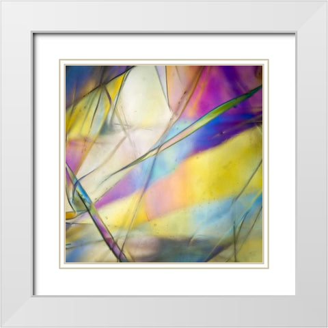Stain Glass 2 White Modern Wood Framed Art Print with Double Matting by Hogan, Melody