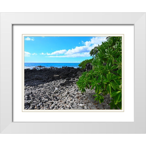 Shoreline  Path White Modern Wood Framed Art Print with Double Matting by Nebula, Melissa