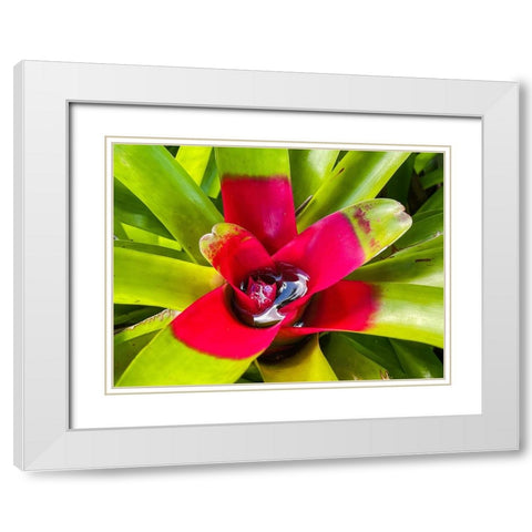 A Slow Sip White Modern Wood Framed Art Print with Double Matting by Nebula, Melissa