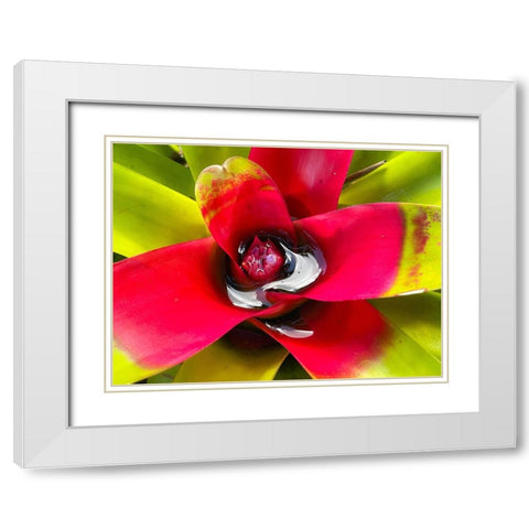 Sip Me Slowly White Modern Wood Framed Art Print with Double Matting by Nebula, Melissa