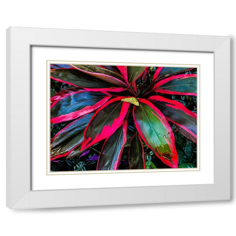 Shady Ti Tree White Modern Wood Framed Art Print with Double Matting by Nebula, Melissa