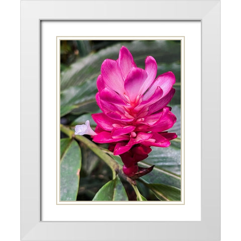 Ginger Blossom White Modern Wood Framed Art Print with Double Matting by Nebula, Melissa