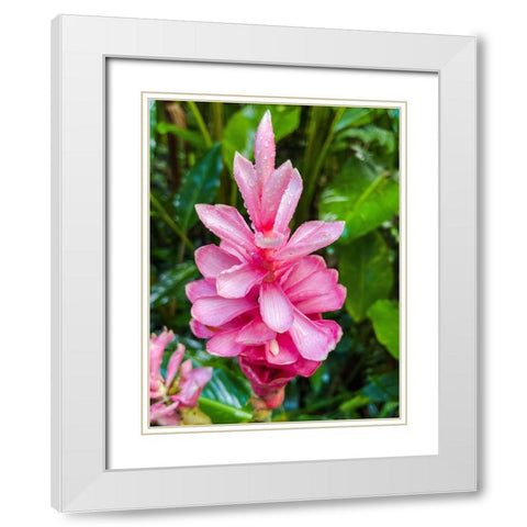 Floral Heart Bliss White Modern Wood Framed Art Print with Double Matting by Nebula, Melissa