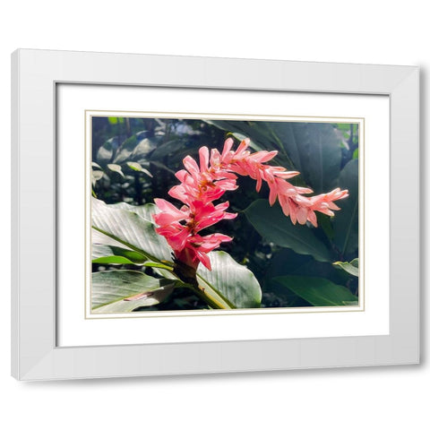 Lazy Ginger White Modern Wood Framed Art Print with Double Matting by Nebula, Melissa