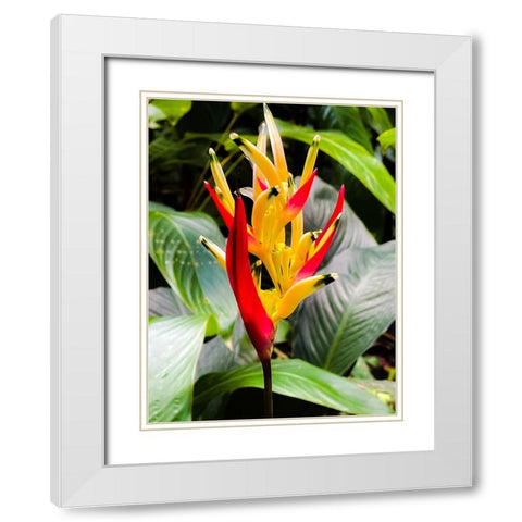 Reach for the Light White Modern Wood Framed Art Print with Double Matting by Nebula, Melissa