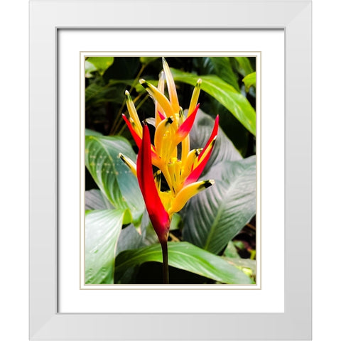 Reach for the Light White Modern Wood Framed Art Print with Double Matting by Nebula, Melissa