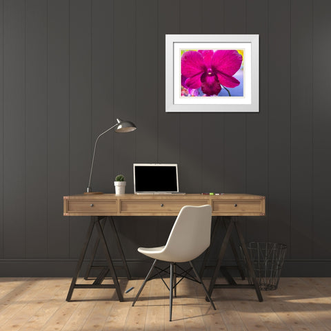 Orchid Daze White Modern Wood Framed Art Print with Double Matting by Nebula, Melissa
