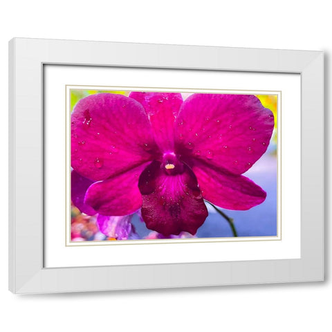 Orchid Daze White Modern Wood Framed Art Print with Double Matting by Nebula, Melissa