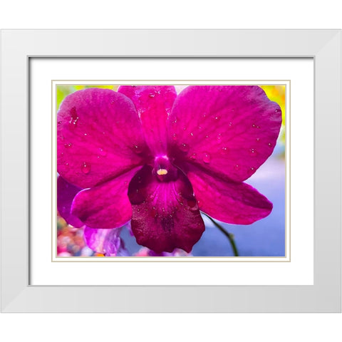 Orchid Daze White Modern Wood Framed Art Print with Double Matting by Nebula, Melissa