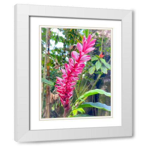 Ginger Stretch White Modern Wood Framed Art Print with Double Matting by Nebula, Melissa