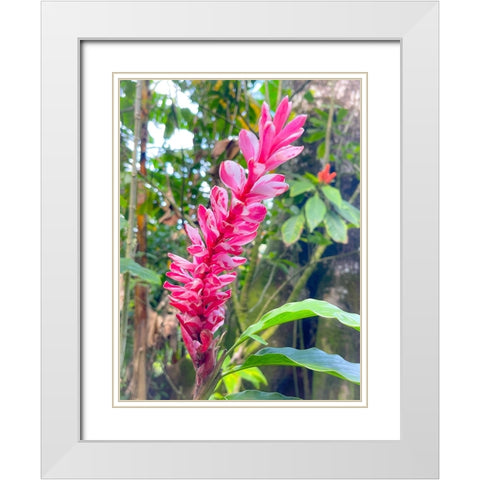 Ginger Stretch White Modern Wood Framed Art Print with Double Matting by Nebula, Melissa