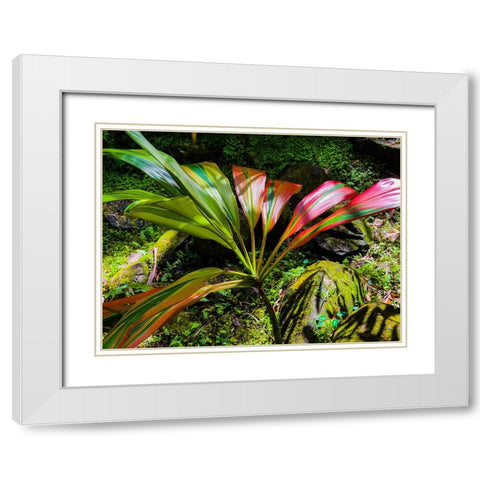 Striped Ti White Modern Wood Framed Art Print with Double Matting by Nebula, Melissa