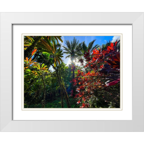 Tropical Melange White Modern Wood Framed Art Print with Double Matting by Nebula, Melissa