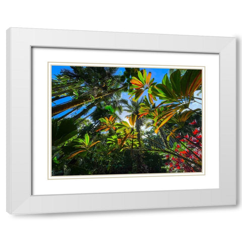 Tropical Understory White Modern Wood Framed Art Print with Double Matting by Nebula, Melissa