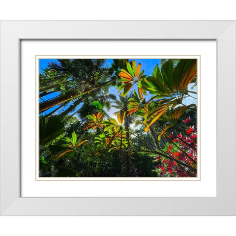 Tropical Understory White Modern Wood Framed Art Print with Double Matting by Nebula, Melissa