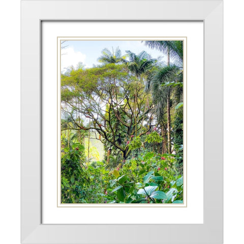 Botanical Junglescape White Modern Wood Framed Art Print with Double Matting by Nebula, Melissa