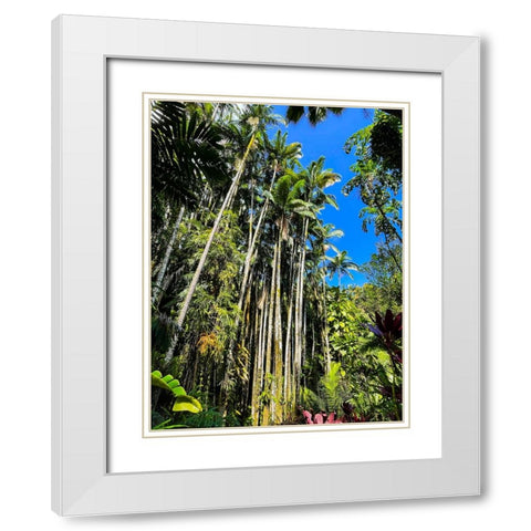 Reaching Palms White Modern Wood Framed Art Print with Double Matting by Nebula, Melissa