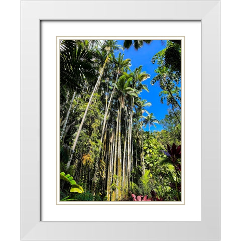 Reaching Palms White Modern Wood Framed Art Print with Double Matting by Nebula, Melissa