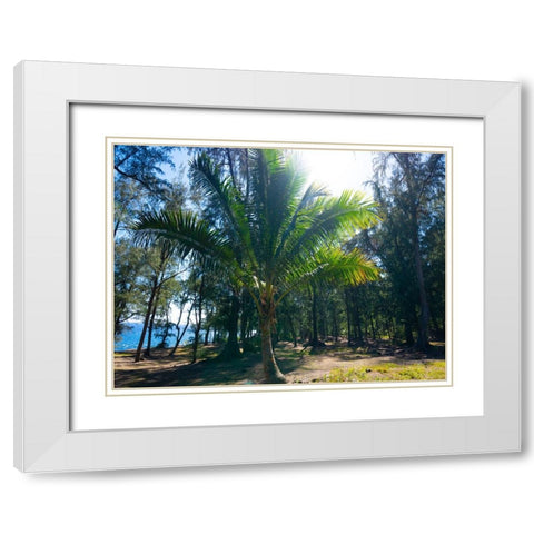 Palm 1 White Modern Wood Framed Art Print with Double Matting by Nebula, Melissa